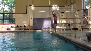 Teach a Flip for Springboard Diving [upl. by Nwahshar594]