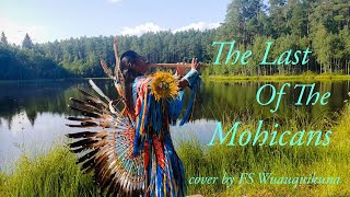 The Last Of The Mohicans  Native American Flutes Music  by FS Wuauquikuna [upl. by Jacklin309]