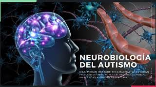 NEUROBIOLOGÍA DEL AUTISMO INTRODUCCIÓN [upl. by Hareemas244]