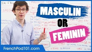 Gender of French Words Masculin vs Feminin [upl. by Hnahym]