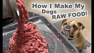 HOW I MAKE my DOGS RAW FOOD [upl. by Bunch]