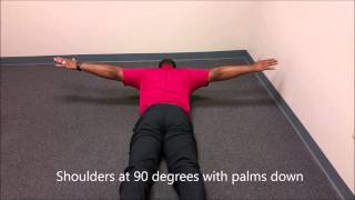 Scapular Stability Exercises [upl. by Virgin]