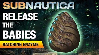 Making the Hatching Enzyme  SUBNAUTICA [upl. by Teirrah]