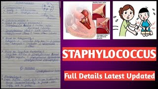 Staphylococcus  Staphylococcus aureus [upl. by Leanahtan]