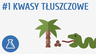 Kwasy tłuszczowe 1  Biologiczne związki organiczne [upl. by Wey]