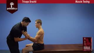 Triceps Muscle Test Vizniak [upl. by Birgitta51]