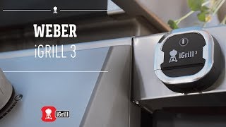 Learn all about the Weber iGrill 3 appconnected thermometer [upl. by Arluene]