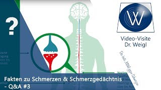 Chronischer Schmerz das Schmerzgedächtnis psychosomatische Schmerzen amp Schmerztherapie ☎QampA 3👥 [upl. by Havelock66]