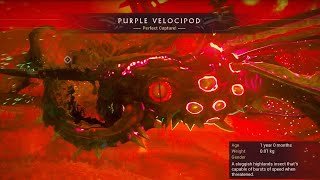 Warframe  Purple Velocipod Spawn Locations [upl. by Santini432]