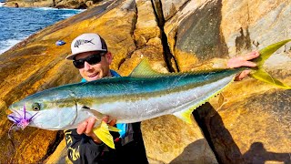 BIG Yellowtail Kingfish on fly  Solo camping on a wild and remote Island [upl. by Ritch244]