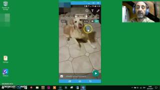 Hacer un Gif con Whatsapp  Paso a paso [upl. by Enert213]