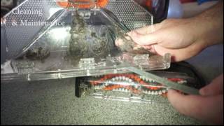 Bissell Proheat 2x revolution pet deep cleaner Manual how to use clean and maintain [upl. by Mikol]