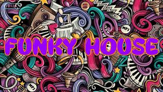 FUNKY HOUSE [upl. by Pinkham]