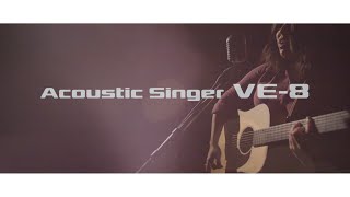 BOSS VE8 Acoustic Singer [upl. by Ecitnirp9]