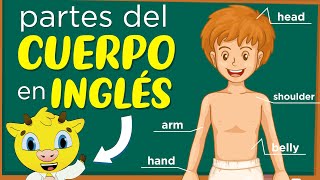 Partes del Cuerpo en Inglés  Inglés para Principiantes [upl. by Ahsaeyt]