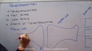 Neurotransmitters and its types [upl. by Erlina]