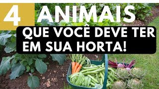 4 Animais que você deve ter em sua Horta [upl. by Adnirb170]