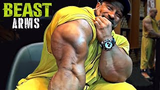 BEAST ARMS  LETS BUILD TRICEPS AND BICEPS  ROELLY WINKLAAR MOTIVATION [upl. by Reyotal]