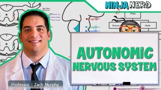 Neurology  Autonomic Nervous System [upl. by Eeznyl]