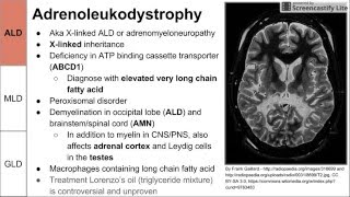 Leukodystrophies ALD MLD and GLD [upl. by Lazare]