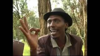 Eritrean comedy suzinino tafla and behabelom Trgum [upl. by Sankaran]