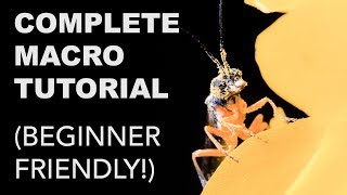 Complete Macro Photography Tutorial for Beginners [upl. by Neala]