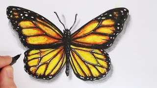 How to Draw a Realistic Butterfly Time Lapse [upl. by Meekah]