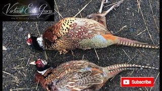 How to Cook Wild Pheasant Recipe [upl. by Conte101]