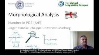 MOR106  Morphological Analysis PDE [upl. by Castra124]