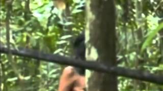 Rare footage of an isolated indian tribe in the Amazon [upl. by Zerat]