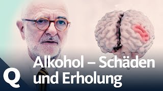 Wie gut kann sich der Körper vom Alkohol erholen  Quarks [upl. by Odrarej]