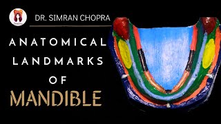 Anatomical Landmarks Of Mandible l Mandibular Landmarks l Prosthodontics [upl. by Vokaay456]