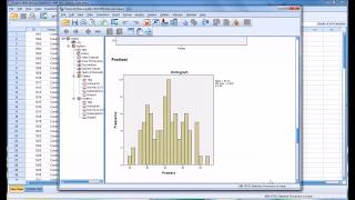 Conducting a ShapiroWilk Normality Test in SPSS [upl. by Tuttle35]