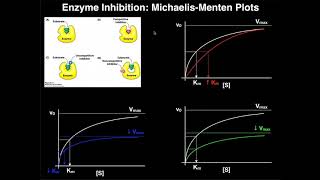 Enzyme Inhibitors  Mechanisms MichaelisMenten Plots amp Effects [upl. by Eladnyl322]