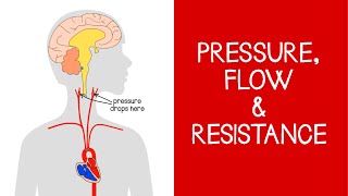 42 Cardiovascular Pressure Flow and Resistance [upl. by Esilrahc305]