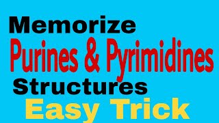 Purine amp Pyrimidine Structures  Easy way to memorize [upl. by Lougheed536]