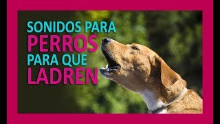 SONIDOS PARA PERROS PARA QUE LADREN [upl. by Acisej]