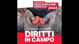 Disoccupazione agricola 2024 [upl. by Aztin]