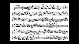 Bach JS violin concerto in A minor BWV 1041 [upl. by Airelav]