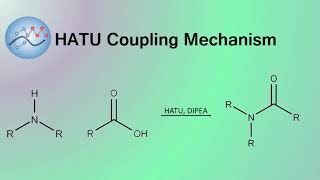 HATU DIPEA Peptide Coupling Mechanism  Organic Chemistry [upl. by Dnalhsa741]