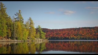 Algonquin Park Yours to Explore wwwalgonquinparkonca [upl. by Yadnil]