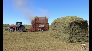 Stacking Hay in South Dakota HESSTON STAKHAND [upl. by Namzed]