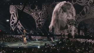 Taylor Swift  I Dont Wanna Live Forever Live DVD [upl. by Nevear]