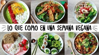 LO QUE COMO EN UNA SEMANA  VEGANO amp SALUDABLE [upl. by Giffy]