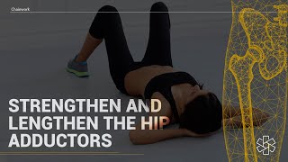 Exercises to STRENGTHEN amp LENGTHEN the Hip Adductors [upl. by Tudor694]