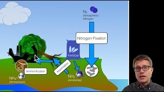 Biogeochemical Cycles [upl. by Negrom683]