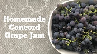 How To Homemade Concord Grape Jam [upl. by Anot]