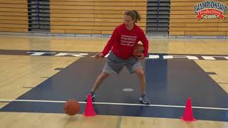 Ball Handling Drills Featuring Danielle Viglione [upl. by Yevrah]