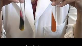 Hydrogen sulfide test Biochemical assay [upl. by Gokey492]