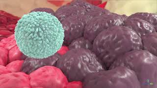 Introduction to NK Cell Immunotherapy with INKmune  Priming NK Cells [upl. by Kelby]